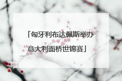 匈牙利布达佩斯举办意大利面桥世锦赛