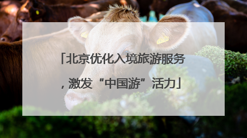 北京优化入境旅游服务，激发“中国游”活力