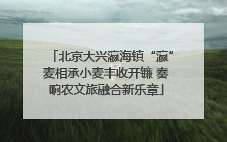 北京大兴瀛海镇“瀛”麦相承小麦丰收开镰 奏响农文旅融合新乐章