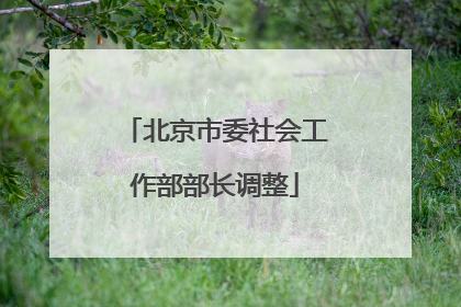 北京市委社会工作部部长调整