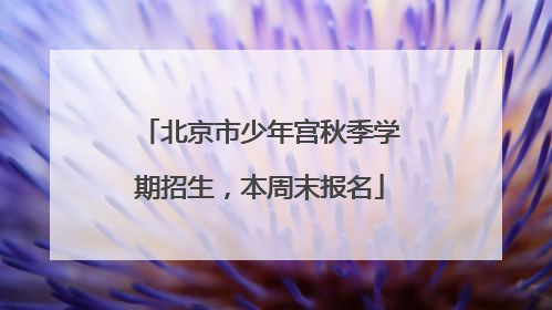 北京市少年宫秋季学期招生，本周末报名
