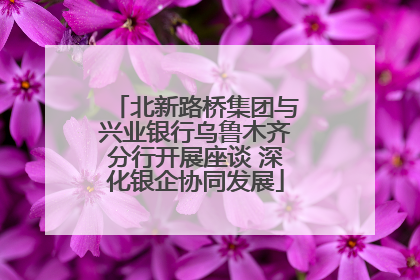 北新路桥集团与兴业银行乌鲁木齐分行开展座谈 深化银企协同发展