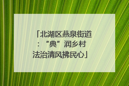 北湖区燕泉街道：“典”润乡村 法治清风拂民心