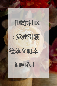 城东社区：党建引领绘就文明幸福画卷