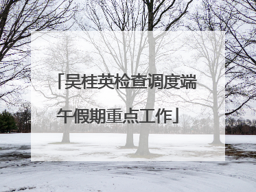 吴桂英检查调度端午假期重点工作