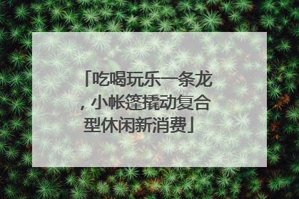 吃喝玩乐一条龙，小帐篷撬动复合型休闲新消费