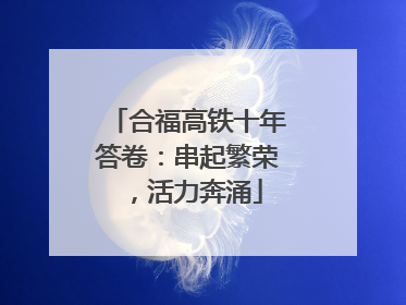合福高铁十年答卷：串起繁荣，活力奔涌