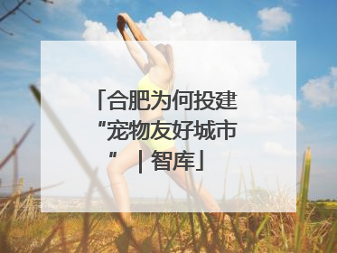 合肥为何投建“宠物友好城市”｜智库