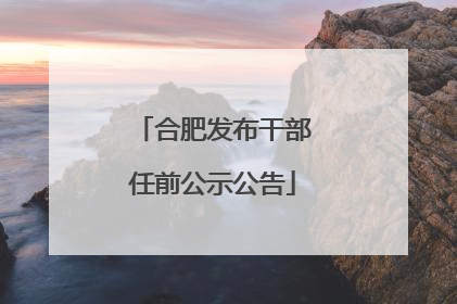 合肥发布干部任前公示公告