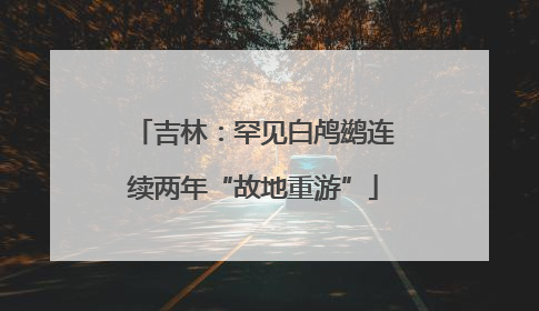 吉林：罕见白鸬鹚连续两年“故地重游”