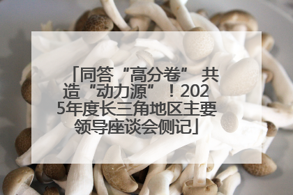 同答“高分卷” 共造“动力源”！2025年度长三角地区主要领导座谈会侧记