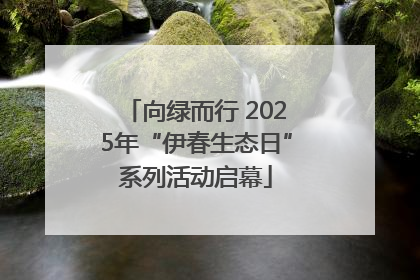 向绿而行 2025年“伊春生态日”系列活动启幕