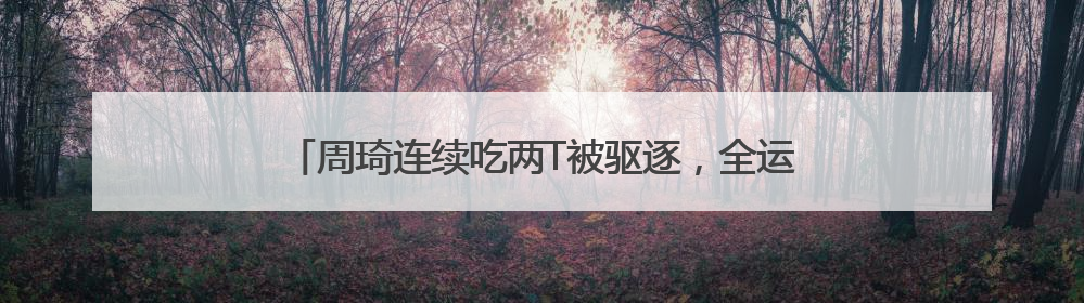 周琦连续吃两T被驱逐，全运会男篮小组赛四川队出师不利