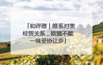和评理｜维系对美经贸关系，欧盟不能一味妥协让步