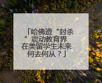 哈佛遭“封杀”震动教育界 在美留学生未来何去何从？