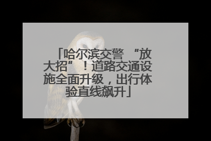 哈尔滨交警 “放大招”！道路交通设施全面升级，出行体验直线飙升