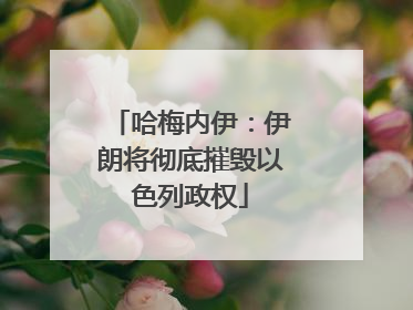 哈梅内伊：伊朗将彻底摧毁以色列政权