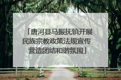 唐河县马振抚镇开展民族宗教政策法规宣传 营造团结和谐氛围