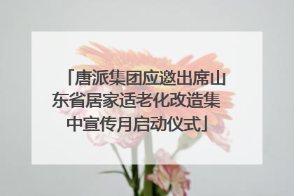 唐派集团应邀出席山东省居家适老化改造集中宣传月启动仪式