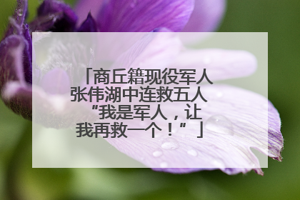 商丘籍现役军人张伟湖中连救五人 “我是军人，让我再救一个！”
