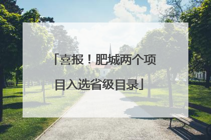 喜报！肥城两个项目入选省级目录