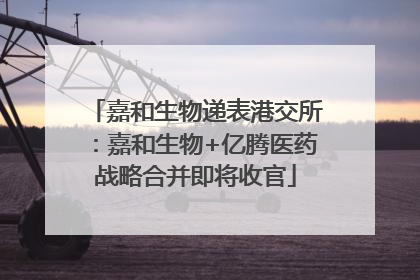 嘉和生物递表港交所：嘉和生物+亿腾医药战略合并即将收官