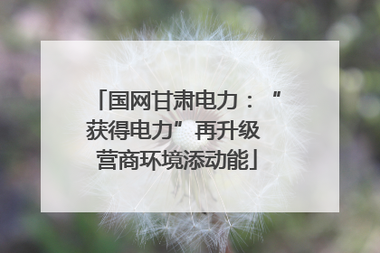 国网甘肃电力：“获得电力”再升级 营商环境添动能