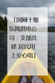 国网十堰东风供电公司：支部共建 居民用上安心电