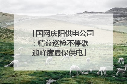 国网庆阳供电公司：精益巡检不停歇 迎峰度夏保供电