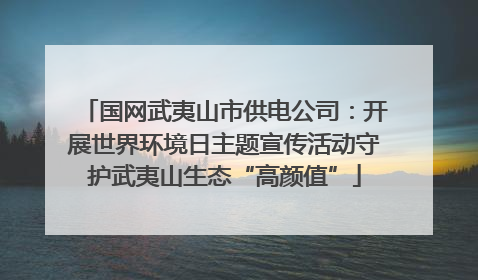 国网武夷山市供电公司：开展世界环境日主题宣传活动守护武夷山生态“高颜值”