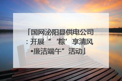 国网泌阳县供电公司：开展“‘粽’享清风 •廉洁端午”活动