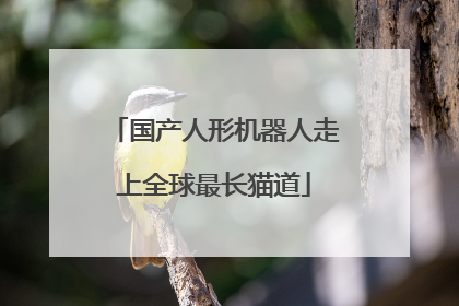 国产人形机器人走上全球最长猫道