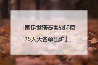 国足世预赛客战印尼25人大名单出炉