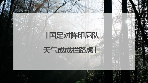 国足对阵印尼队 天气或成拦路虎