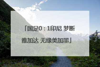 国足0∶1印尼 梦断雅加达 无缘美加墨