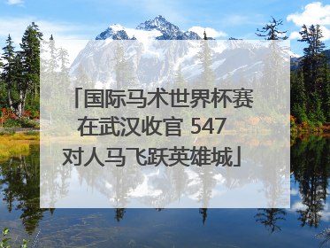 国际马术世界杯赛在武汉收官 547对人马飞跃英雄城