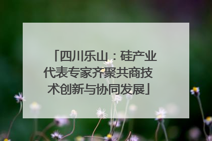 四川乐山：硅产业代表专家齐聚共商技术创新与协同发展