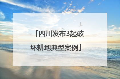 四川发布3起破坏耕地典型案例