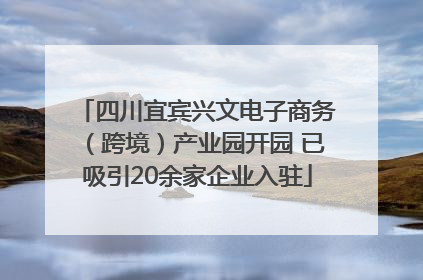 四川宜宾兴文电子商务（跨境）产业园开园 已吸引20余家企业入驻