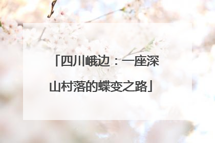 四川峨边：一座深山村落的蝶变之路