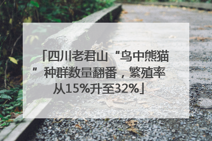 四川老君山“鸟中熊猫”种群数量翻番，繁殖率从15%升至32%