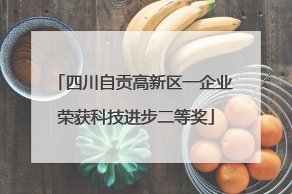四川自贡高新区一企业荣获科技进步二等奖
