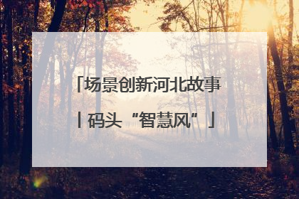 场景创新河北故事丨码头“智慧风”