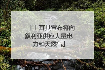 土耳其宣布将向叙利亚供应大量电力和天然气