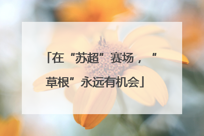 在“苏超”赛场，“草根”永远有机会