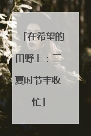 在希望的田野上：三夏时节丰收忙