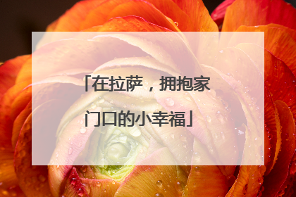 在拉萨，拥抱家门口的小幸福