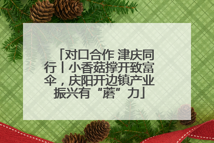对口合作 津庆同行丨小香菇撑开致富伞，庆阳开边镇产业振兴有“蘑”力