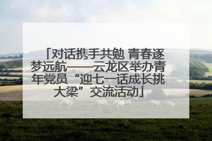 对话携手共勉 青春逐梦远航——云龙区举办青年党员“迎七一话成长挑大梁”交流活动
