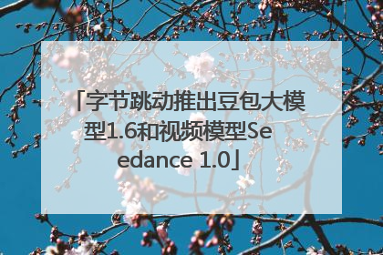字节跳动推出豆包大模型1.6和视频模型Seedance 1.0